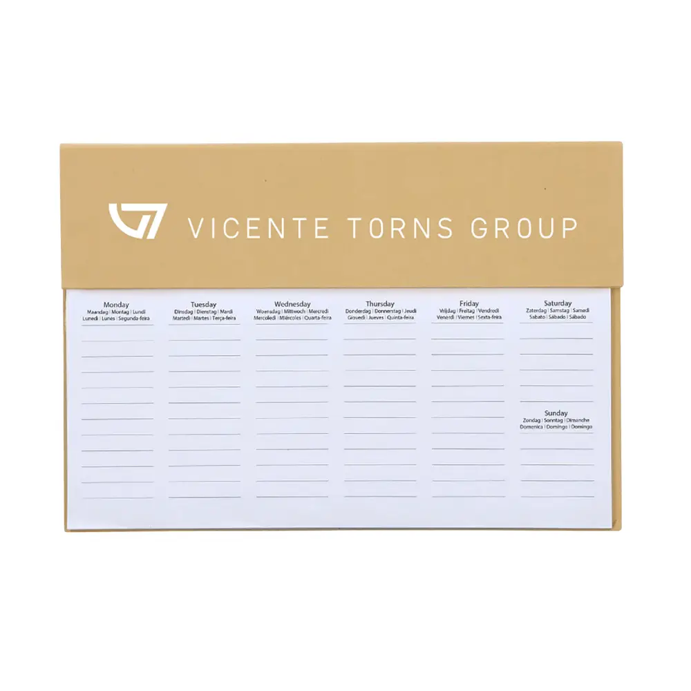Vicente Torns